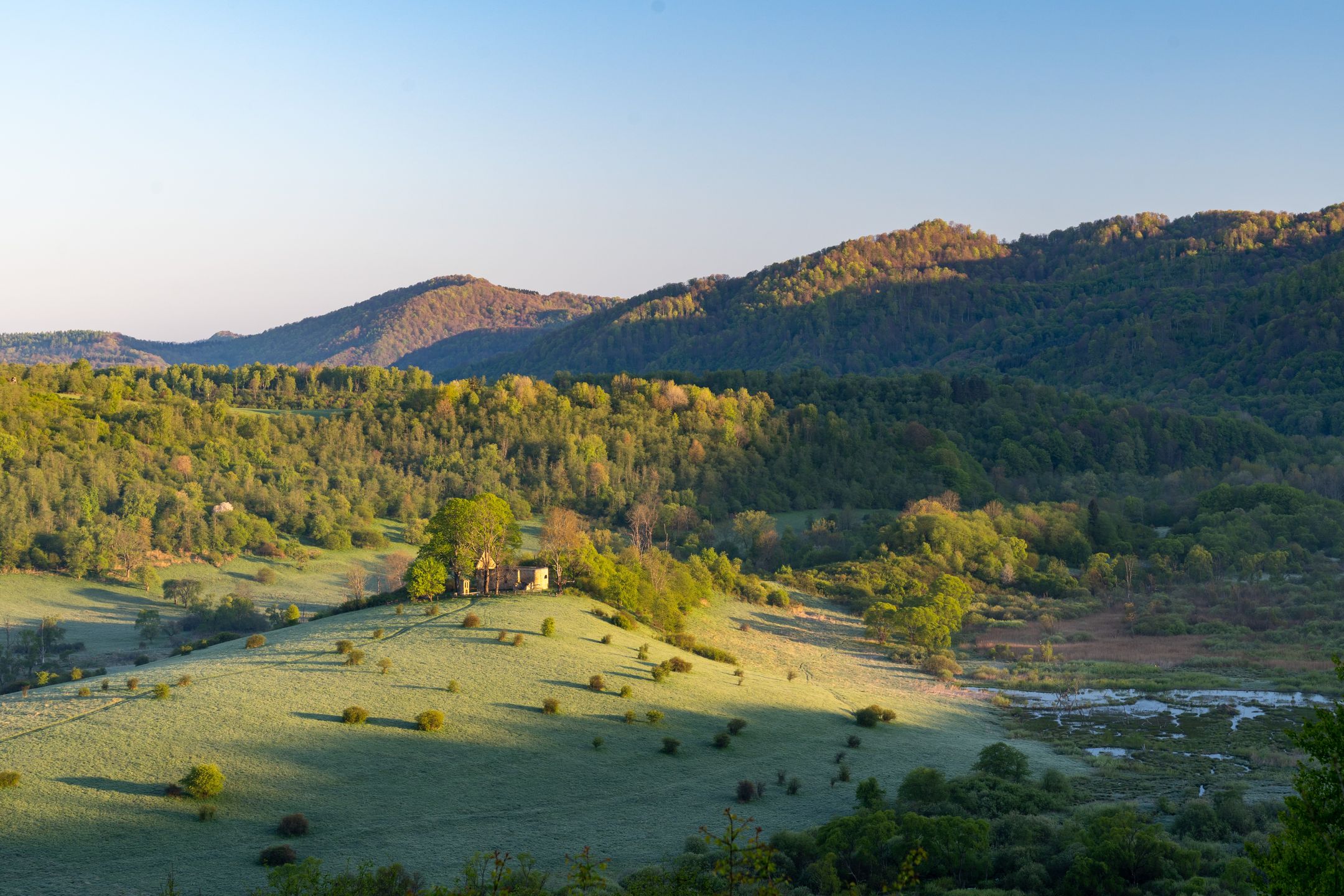 Bieszczadzkie krajobrazy urzekły Stanisława Majsterka