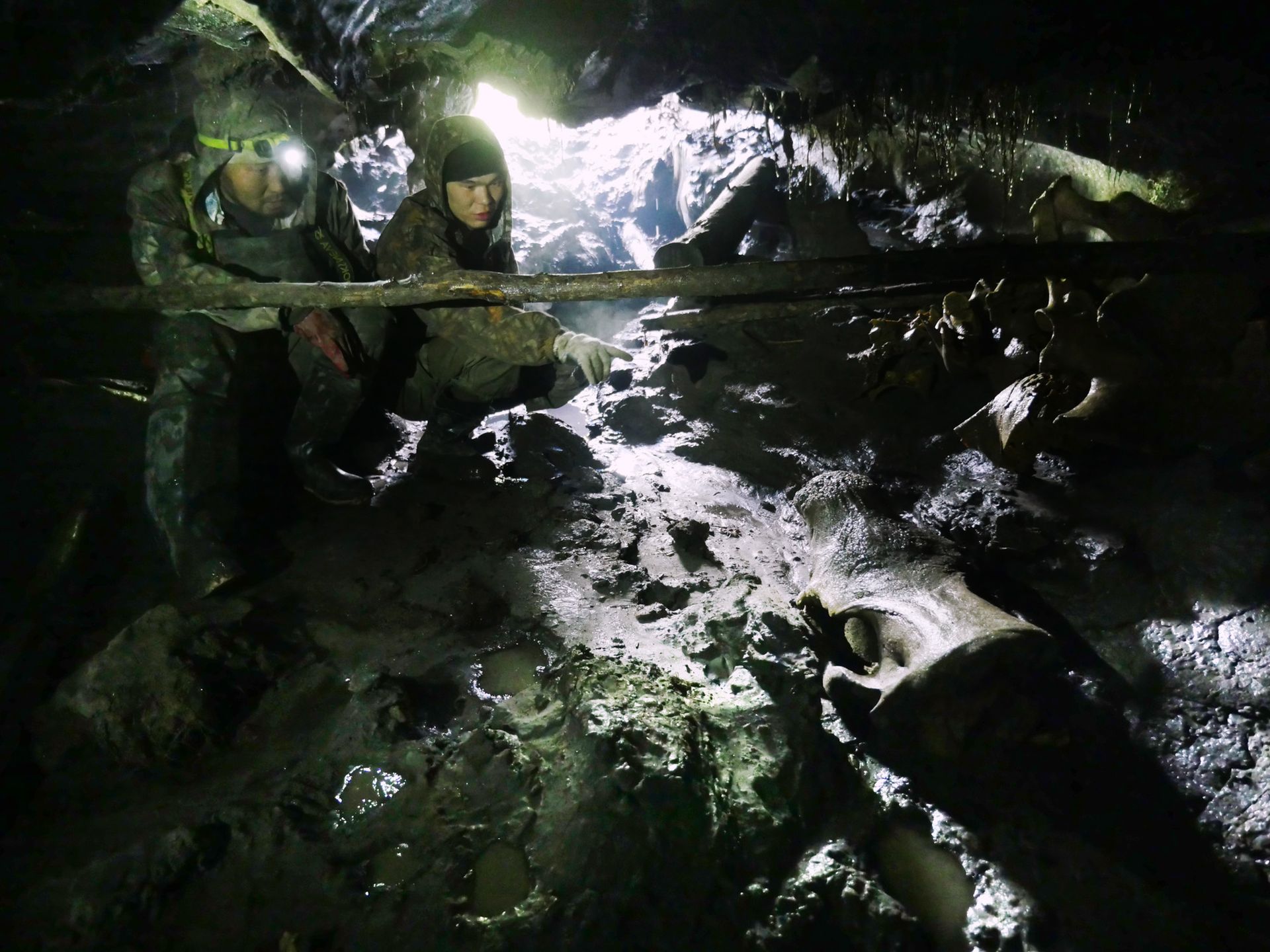 Fotograf spędził 3 tygodnie z kłusownikami... mamutów 10