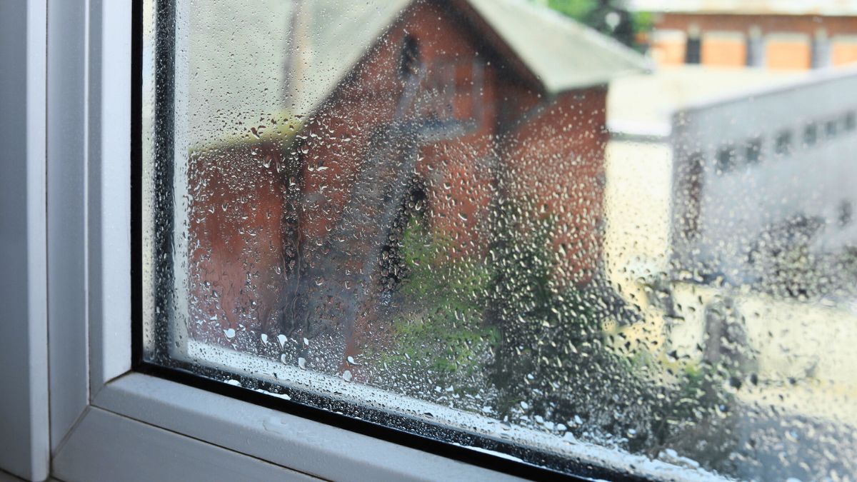 Krople wody osiadły na szybie