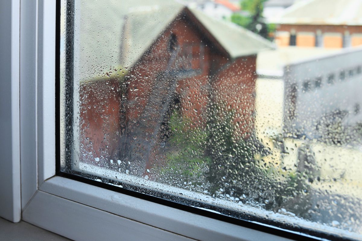 Water droplets settled on the window.