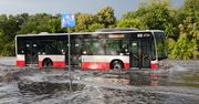 To może być najsilniejsze El Niño w historii. Skutki odczujemy wszyscy