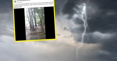 Pokazali nagranie z Podkarpacia. "Takich miejsc jest niestety więcej"