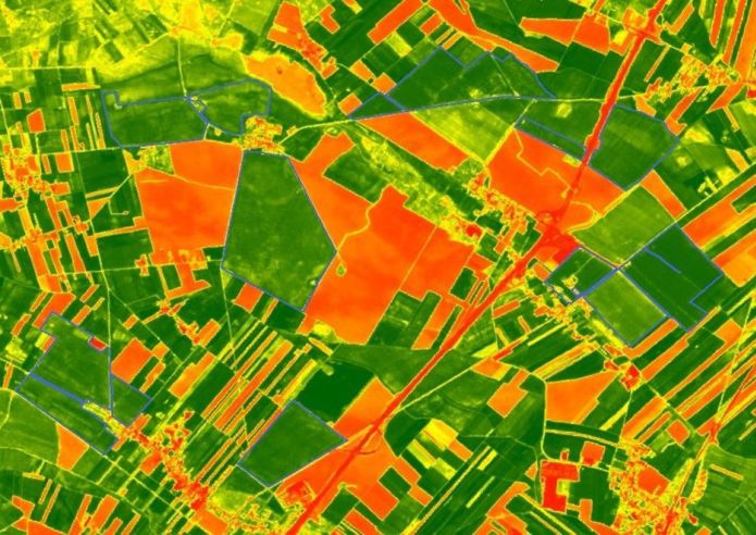 AMS nie taki straszny? Agencja tłumaczy błędy w monitorowaniu upraw