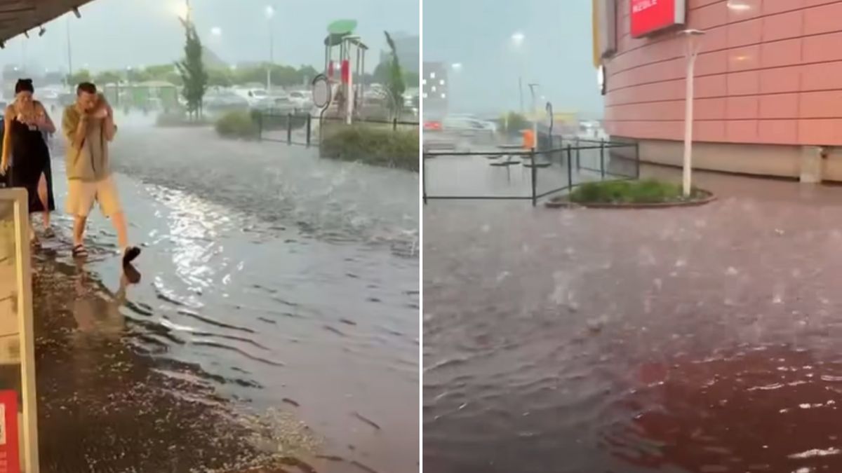 Nagranie z Bielan Wrocławskich.