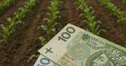Biologiczna uprawa z dodatkiem. Nowe wsparcie dla rolników w 2025 roku