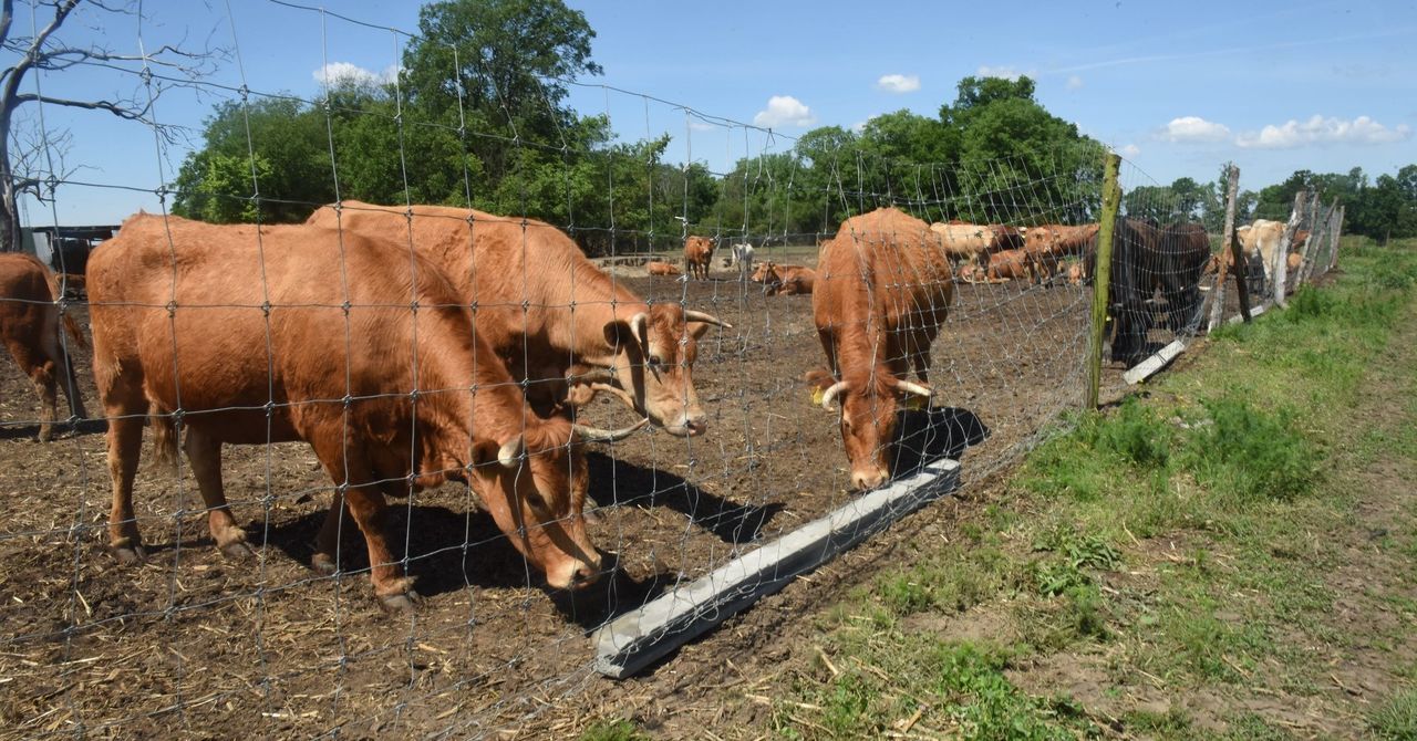 Nie zapomnij o tych załącznikach, jeśli chcesz zachować dopłaty