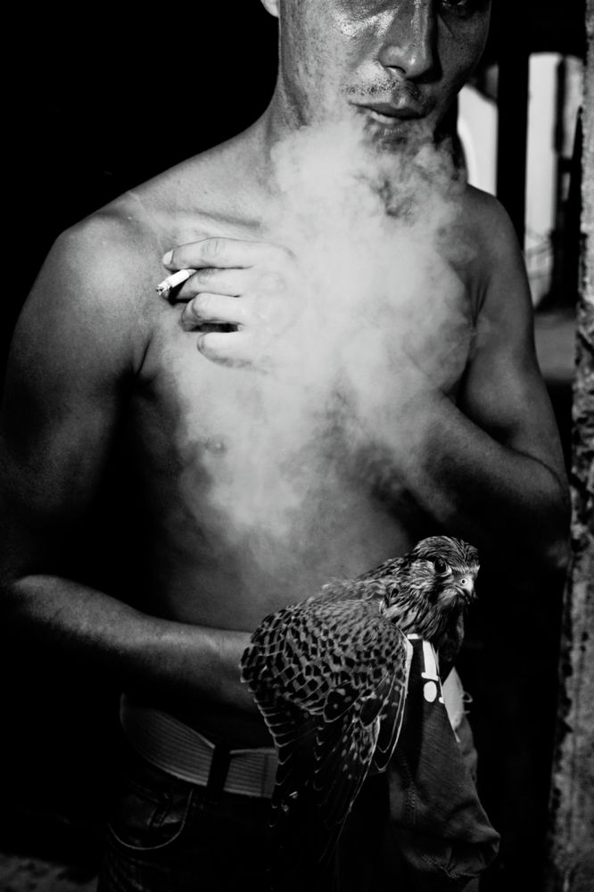 Prix de la Photographie Paris 2014. Polacy wśród nagrodzonych 15