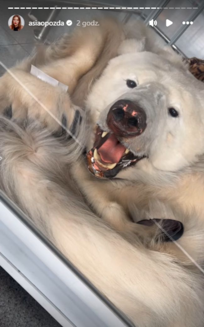 Relacja Joanny Opozdy. Szokujące słowa innej podróżnej