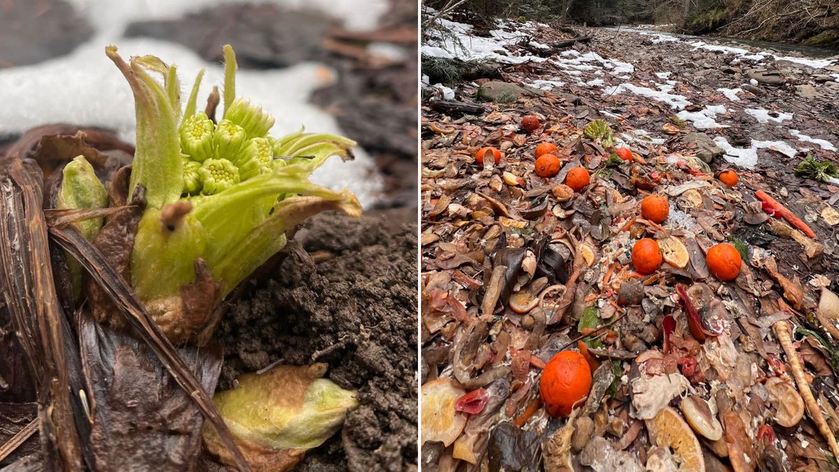 Pokazali, co wychodzi spod śniegu.