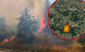 Pożar lasu na Śląsku. Dromader zrzucał wodę z powietrza