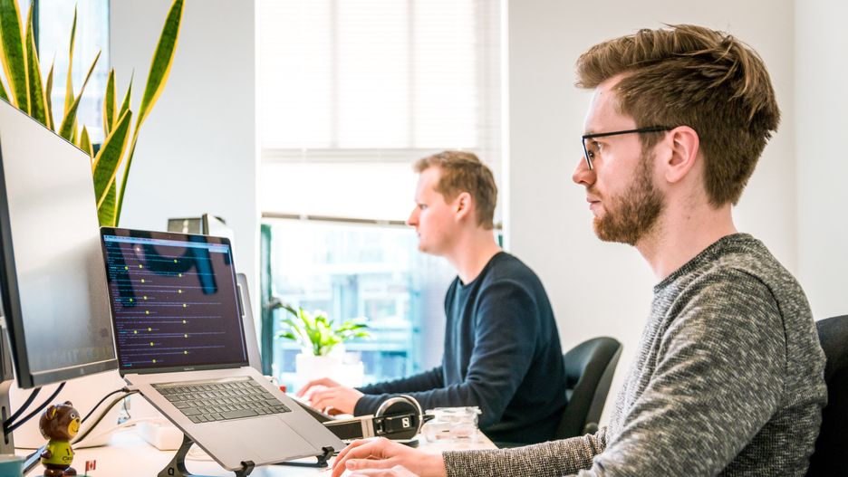 Programista, praca IT