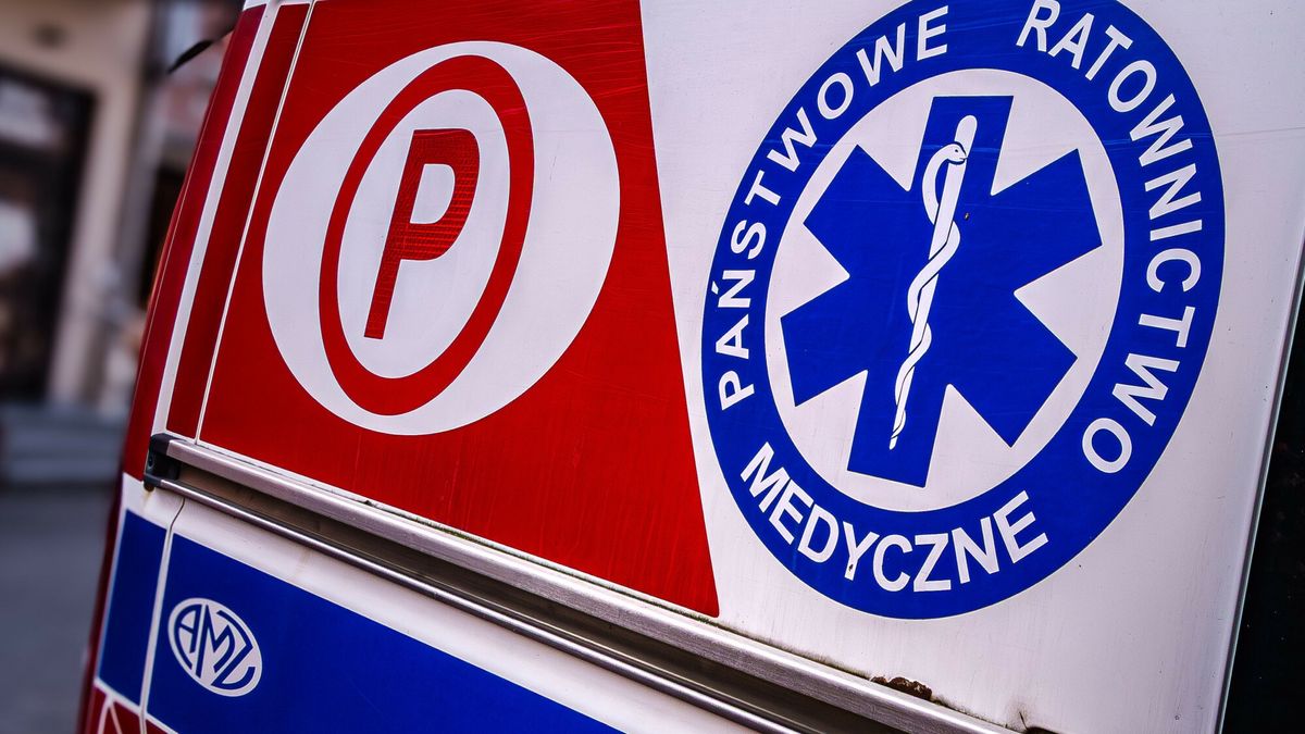 Pies rzucił się na kobietę (zdj. ilustracyjne)