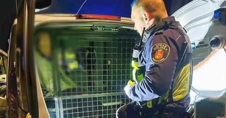 21-latek atakował przechodniów. W końcu zaczął dusić jedną z kobiet