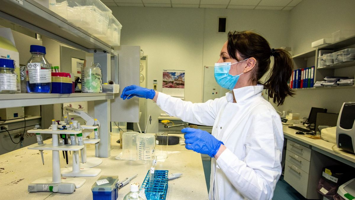 Laboratorium firmy biotechnologicznej Mabion w Konstantynowie Łódzkim. 