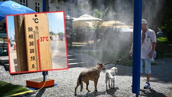 Pogoda w sierpniu. Możliwe nawet 37°C. Co z opadami?