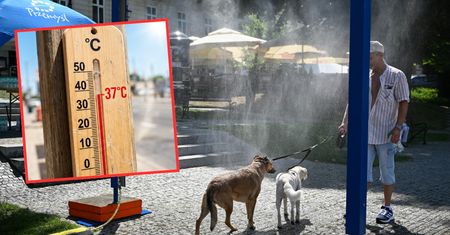 Pogoda w sierpniu. Możliwe nawet 37°C. Co z opadami?