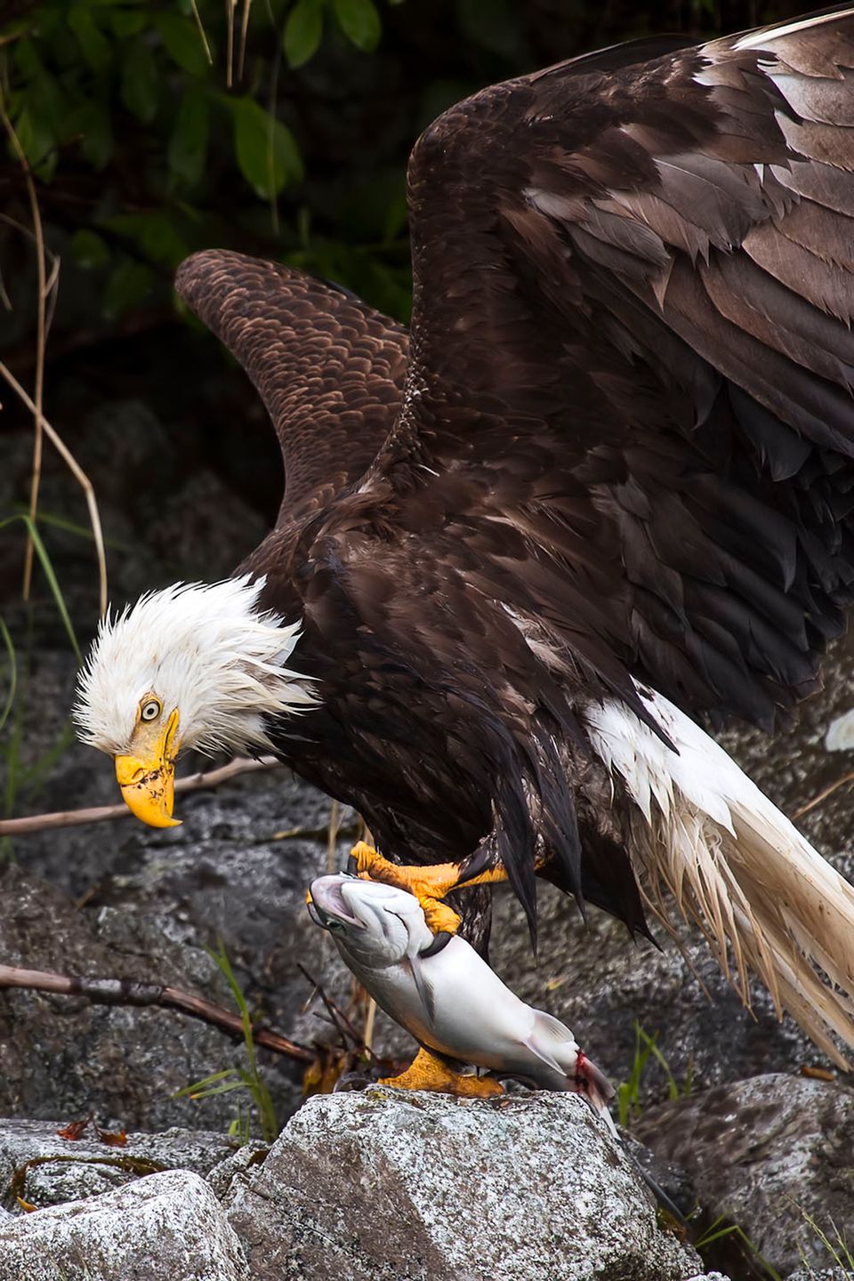 Piękna amerykańska przyroda na zdjęciach konkursu Wilderness Forever 3