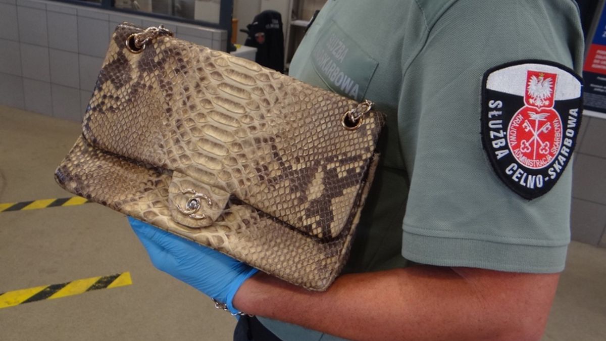 Seria zatrzymań na granicy. Wykryli wyroby z chronionych okazów