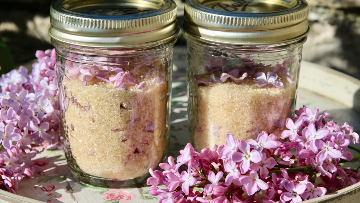 Sugar and lilac flowers
Caroline Gauvin