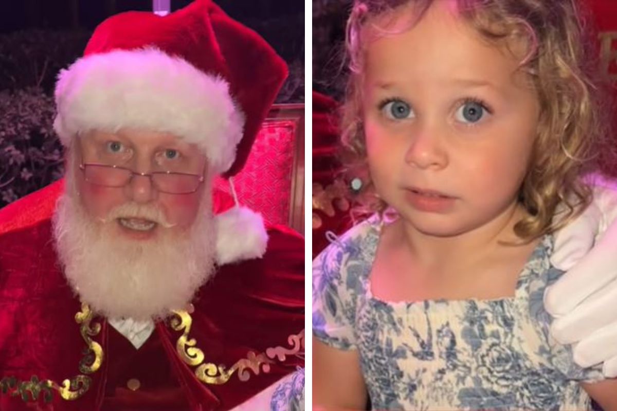 Santa Claus impersonator becomes TikTok star after applauding little girl's refusal to sit on his lap