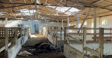 Ukraińcy odbili zoo. "Myśleliśmy, że już nic nas nie zszokuje"