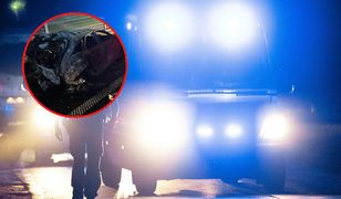 Tragedia na A1 w Piotrkowie Trybunalskim. Nowe informacje prokuratury