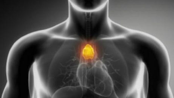 Czym jest grasiczak?