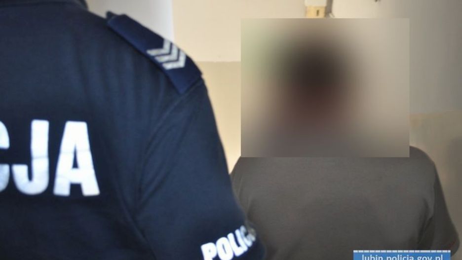 Nastolatkowie zatrzymani po bójce w Lubinie