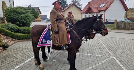 Zaginął Amarant. Trwają poszukiwania konia