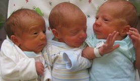 W Opolu po raz kolejny urodziły się trojaczki. Ich mama 7 lat starała się o dziecko