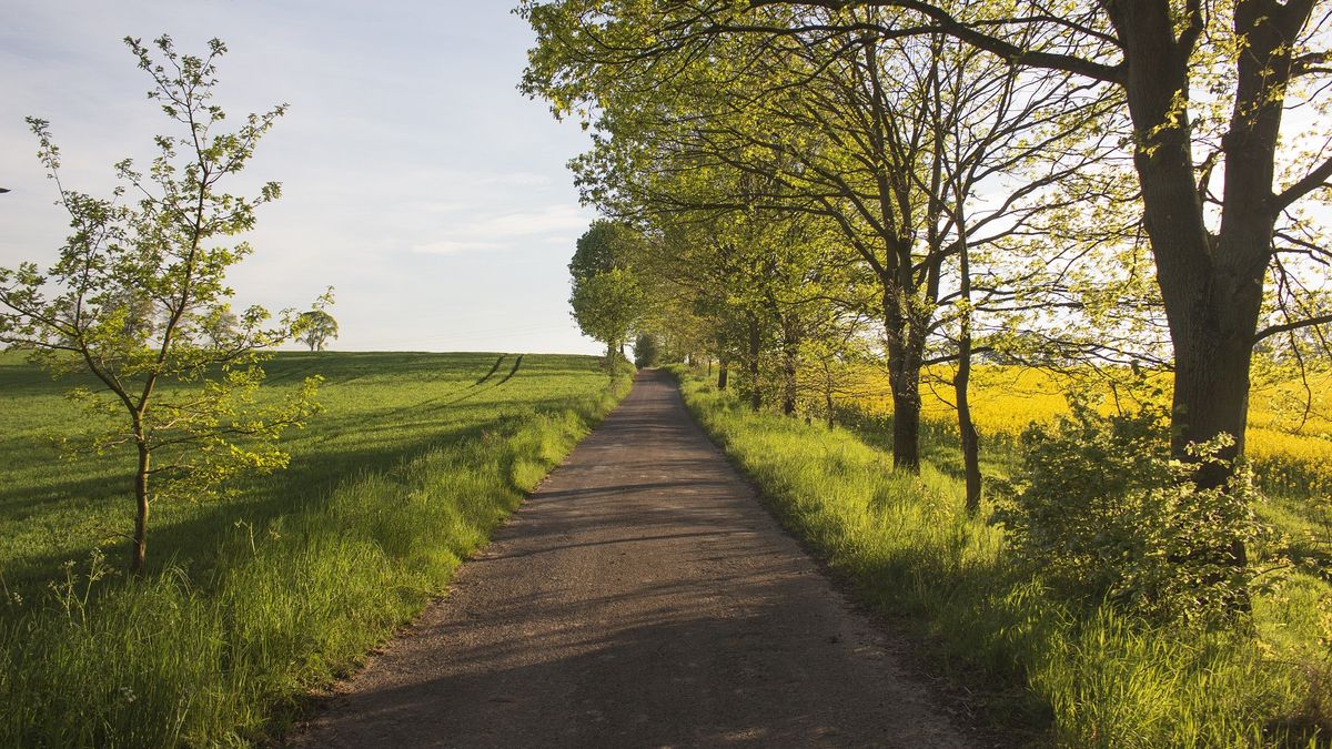 Pogoda w maju nie przyniesie zaskoczeń?