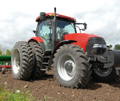 Rolnik wojuje z sąsiadem. Poszło o koguta