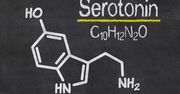 Serotonina - właściwości i wpływ na organizm. Niedobór i nadmiar serotoniny