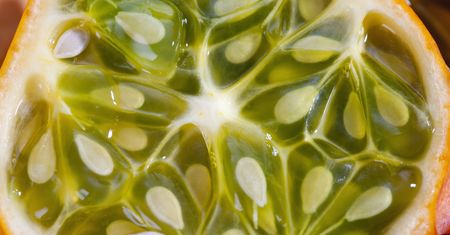 W Polsce wciąż niedoceniany. Owoc obniża ryzyko groźnego raka