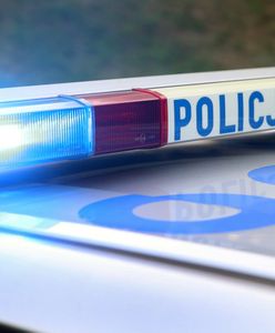 Łowicz. Pchali nieoświetlone auto na A2. Byli pijani