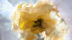 Popularne odżywki groźne dla zdrowia. Mogą zwiększać ryzyko raka jelita grubego