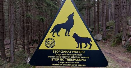Ten znak to poważne ostrzeżenie. Nie lekceważ go pod żadnym pozorem