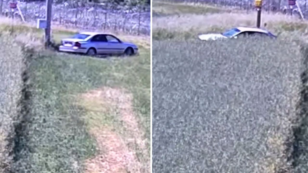 Kierowca chyba stracił rozum. Nagranie z polskiej granicy