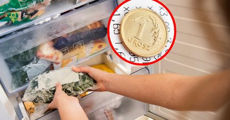 Jedziesz na urlop? Koniecznie włóż monetę do zamrażalnika. Nie pożałujesz