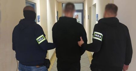 Kupił młode cielaki i trafił do aresztu. 21-latek stanie przed sądem