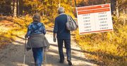 Waloryzacja emerytur 2026. Niektórzy dostaną o 200 zł więcej [TABELA]