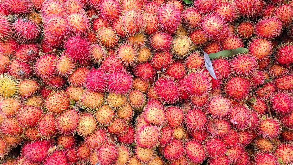 Rambutan i jego właściwości