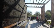 Tężnia w Krzeszowicach znów oferuje solną mgiełkę