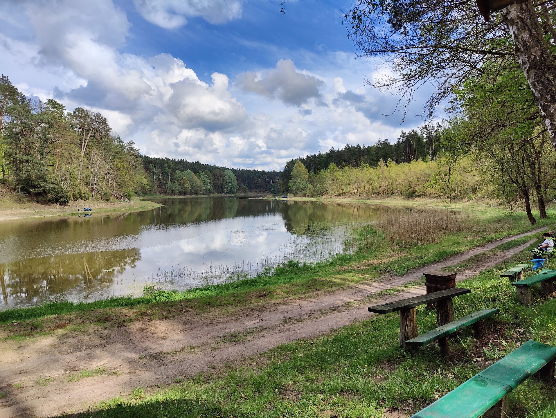 Nieoszlifowany diament. Test OnePlusa 9 Pro 14