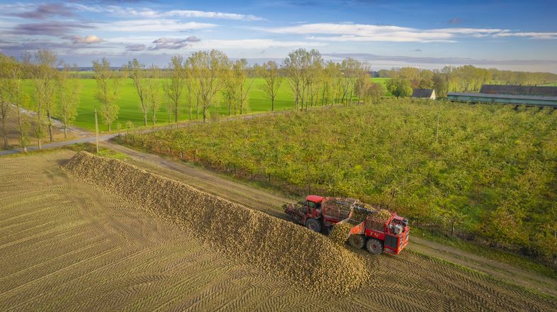 Rolnictwo regeneratywne gwarancją stabilności ekonomicznej gospodarstwa