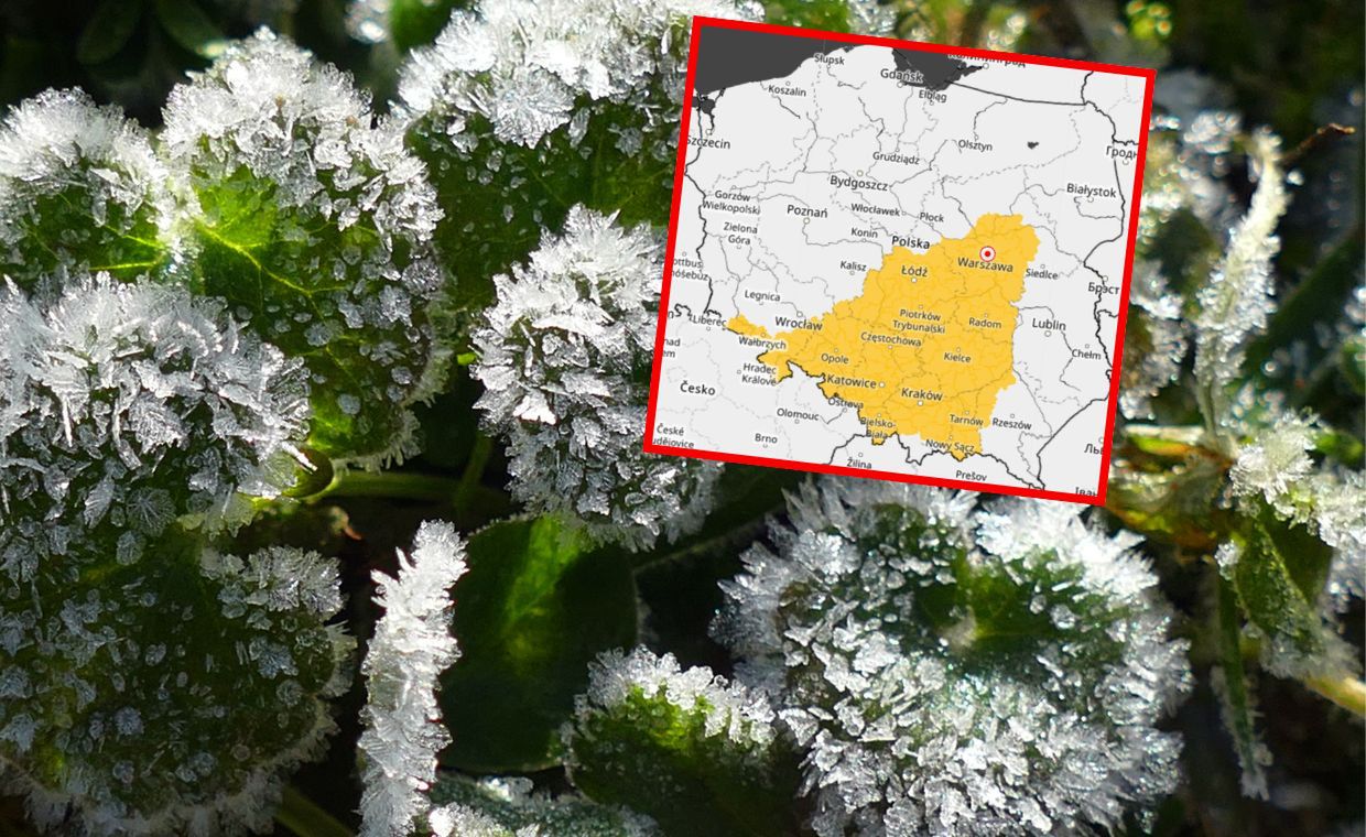 Alert IMGW dla 9 województw. Zła wiadomość dla ogrodników