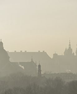 Przez kilka tygodni świat cieszył się lepszym powietrzem. Szybko zaprzepaściliśmy ten sukces