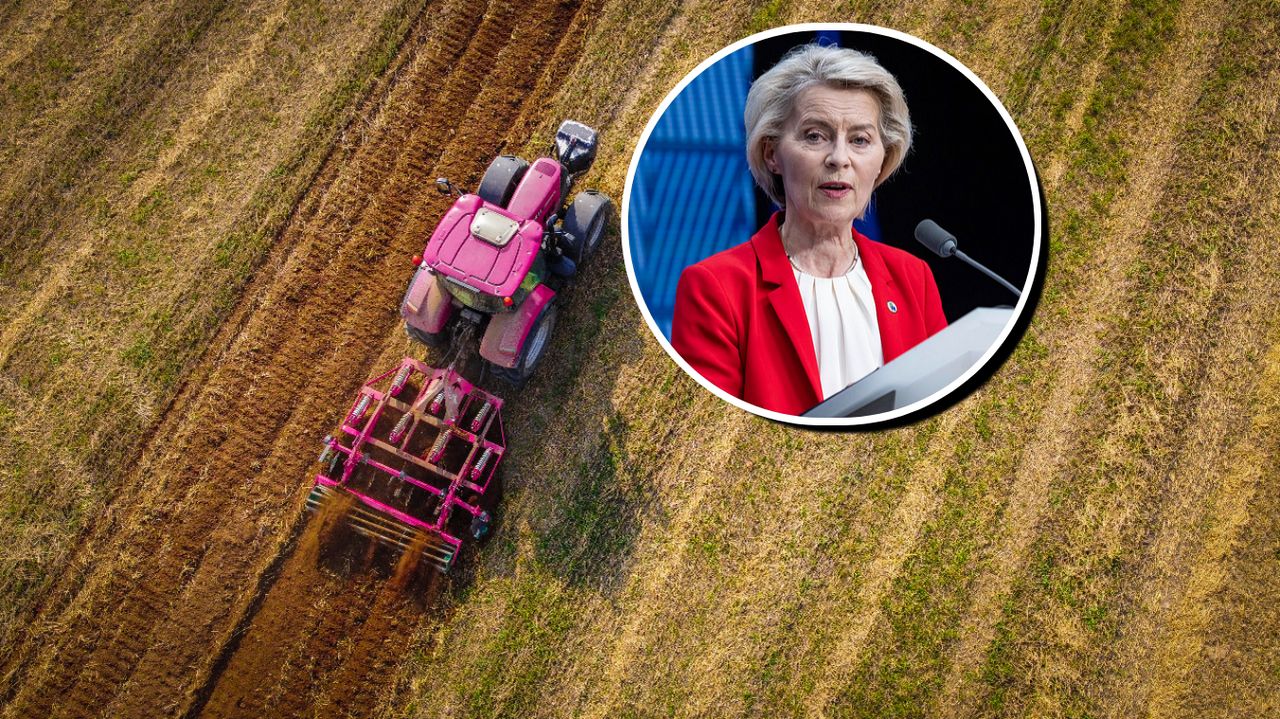 Rolnicy będą rozczarowani? KE pokaże siedmioletni plan