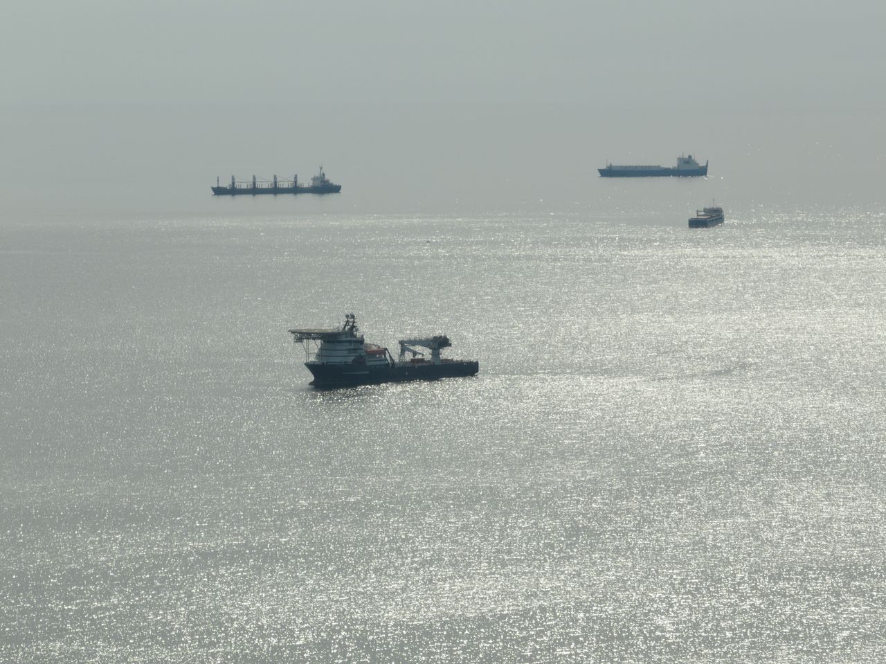 Black Sea oil disaster threatens marine life & regional economies