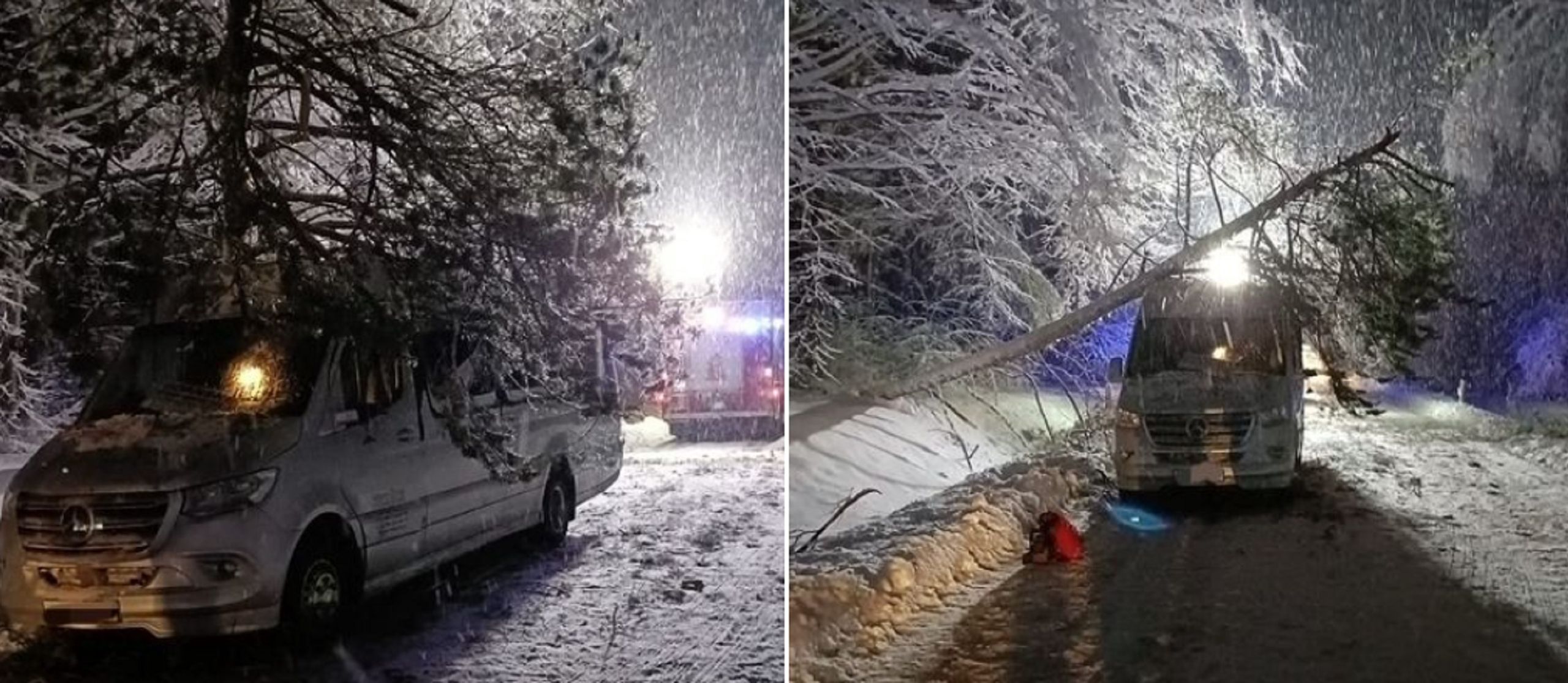 Drzewo spadło na samochód